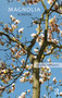 Magnolia (A Novel) by Agnita Tennant, 9781041182290