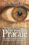 The View from Prague (The Expectations of World Leaders at the Dawn of the 21st Century) by Tomas Vrba, Jirí Musil, 9789637326950