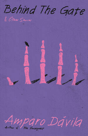 Behind the Gate by Amparo Davila, Matthew Gleeson, Audrey Harris, 9780811240581