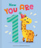 Now You Are 1 (A Birthday Book to Celebrate Baby's First Year) by Claudia Ranucci, Lake Press, 9780655244677