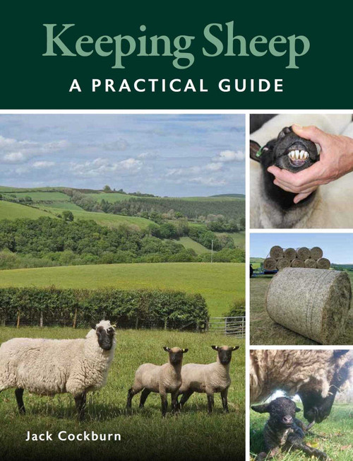 Keeping Sheep by Jack Cockburn, 9780719842214