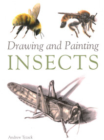 Drawing and Painting Insects by Andrew Tyzack, 9781847974891