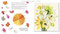 Billy Showell's Botanical Painting in Watercolour by Billy Showell, 9781844484515