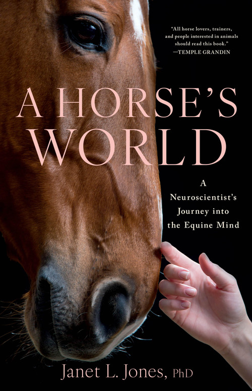 A Horse's World (A Neuroscientist's Journey into the Equine Mind) by Janet L. Jones, 9780316582582