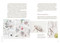 A Perpetual Journal Practice (Building a Connection with Nature through Art) by Lara Call Gastinger, 9781643264905