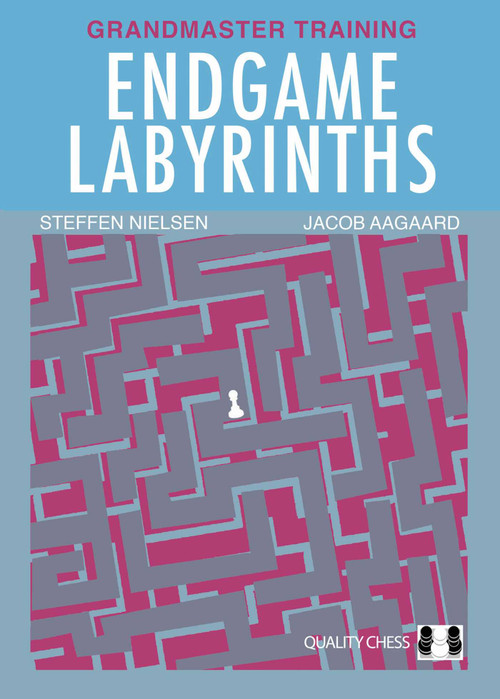 Endgame Labyrinths (Grandmaster Training) by Steffen Nielsen, Jacob Aagaard, 9781784831523