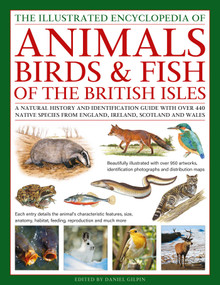 The Animals, Birds & Fish of the British Isles, Illustrated Encyclopedia of by Daniel Gilpin, 9780754836155
