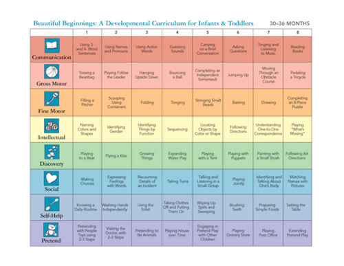 Beautiful Beginnings Stickers Set by Helen H. Raikes, Jane McCall Whitmer, 9781557668226