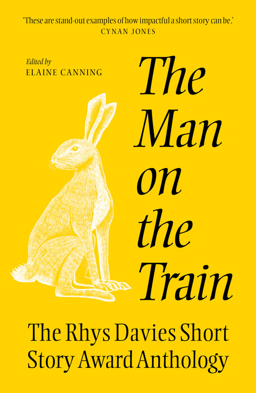 The Man on the Train (The Rhys Davies Short Story Competition Anthology) by Elaine Canning, 9781917140898