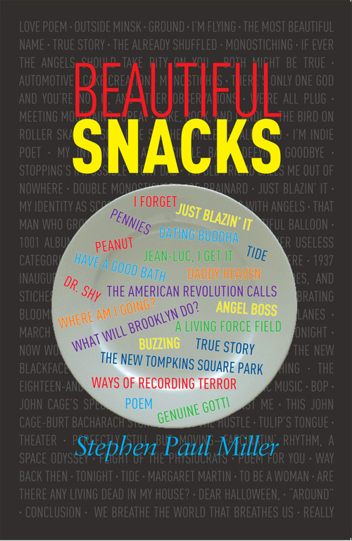 Beautiful Snacks by Stephen Paul Miller, 9798990249042