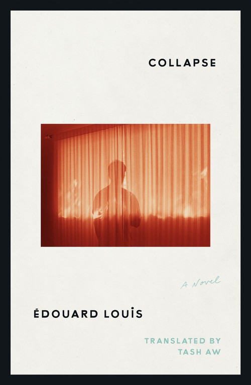 Collapse (A Novel) by Édouard Louis, Tash Aw, 9780374616830