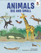 Animals Big and Small by Olivia Watson, Tjarda Borsboom, 9781835693261
