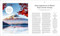 Ultimate Japan (100 Must-do Experiences for the Trip of a Lifetime) by DK Travel, Rebecca Hallett, 9798217126729