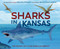 Sharks in Kansas (The Ancient Sea in the Middle of America) by Melissa Stewart, Becca Stadtlander, 9780593904725
