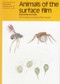 Animals of the Surface Film by Marjorie Guthrie, Peter J. Hayward, 9780855462710