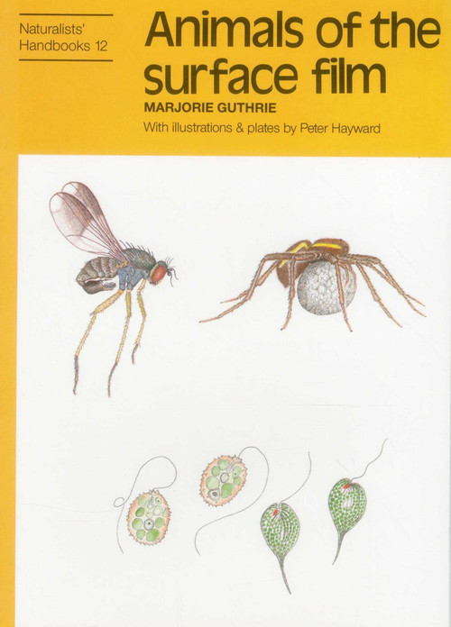 Animals of the Surface Film by Marjorie Guthrie, Peter J. Hayward, 9780855462710