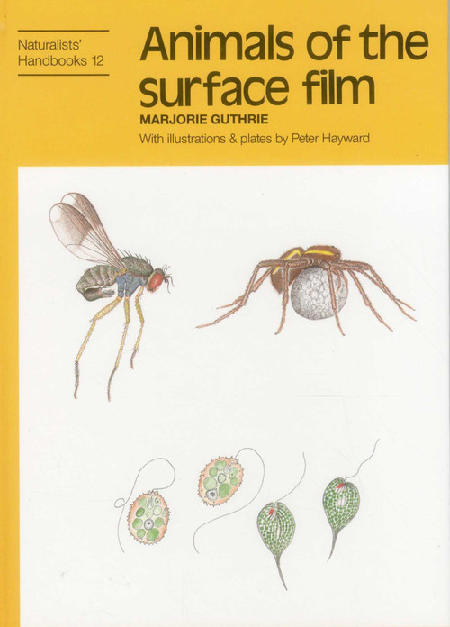 Animals of the Surface Film - 9780855462727 by Marjorie Guthrie, Peter J. Hayward