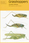 Grasshoppers - 9780855462772 by Valerie K. Brown, Judith G. Smith