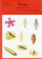 Thrips - 9780855463083 by William D. J. Kirk, Anthony J. Hopkins