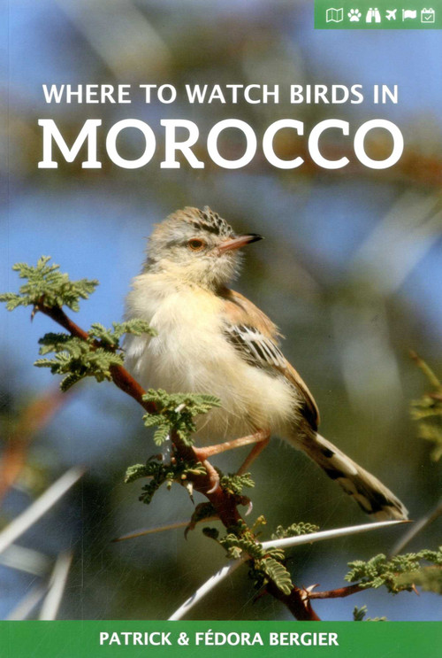 Where to Watch Birds in Morocco by Patrick Bergier, Fedora Bergier, 9781784271442