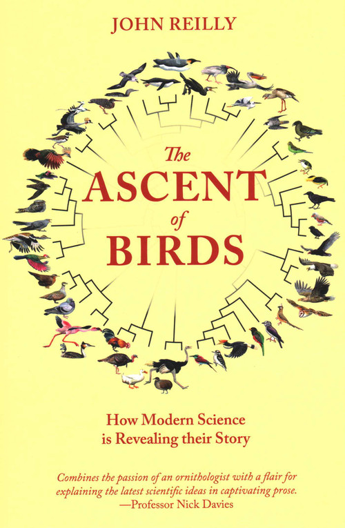 Ascent of Birds (How Modern Science Is Revealing Their Story) by John Reilly, 9781784272036