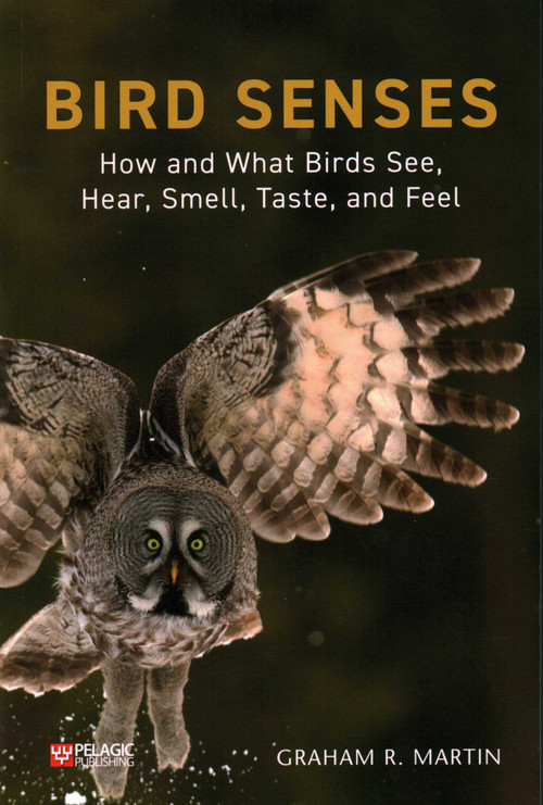 Bird Senses (How and What Birds See, Hear, Smell, Taste and Feel) by Graham Martin, 9781784272166