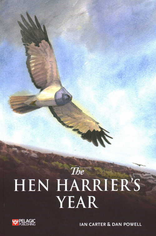 The Hen Harrier's Year by Ian Carter, Dan Powell, 9781784273859