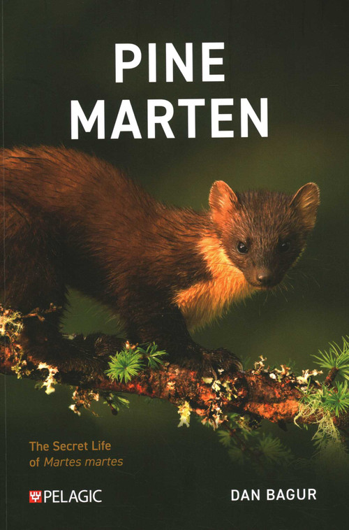 Pine Marten (The Secret Life of Martes martes) by Dan Bagur, 9781784274276
