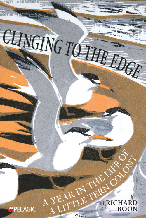 Clinging to the Edge (A Year in the Life of a Little Tern Colony) by Richard Boon, 9781784274894