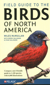 Field Guide to the Birds of North America by Miles McMullen, Derek Sallmann, Ryan Sallmann, 9781784275426