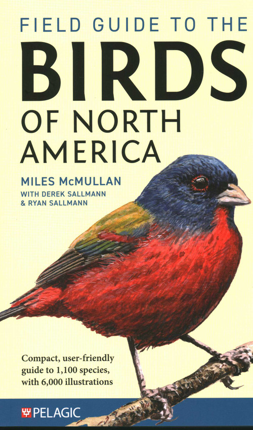 Field Guide to the Birds of North America by Miles McMullen, Derek Sallmann, Ryan Sallmann, 9781784275426