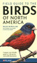 Field Guide to the Birds of North America by Miles McMullen, Derek Sallmann, Ryan Sallmann, 9781784275426
