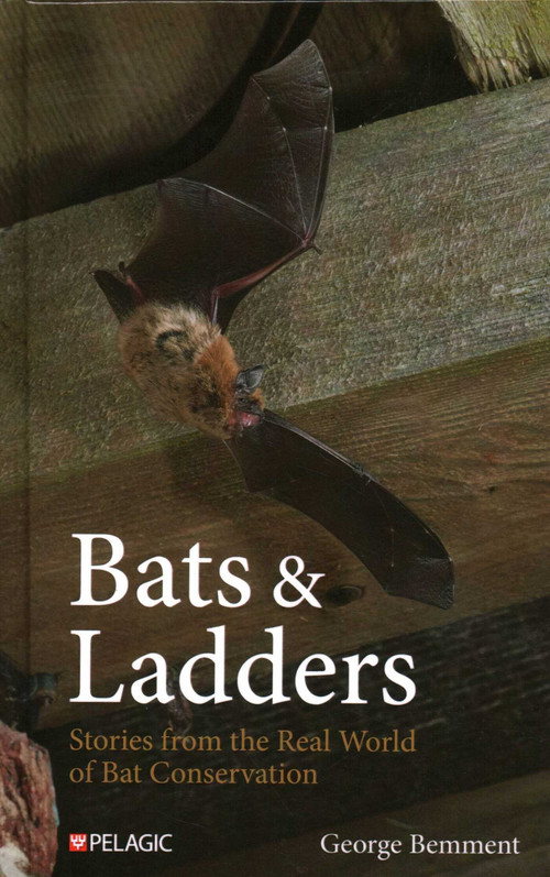Bats & Ladders (Stories from the Real World of Bat Conservation) by George Bemment, 9781784275808
