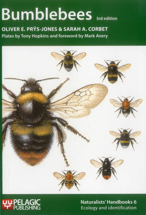 Bumblebees - 9781907807060 by Oliver E. Prys-Jones, Sarah A. Corbet, Anthony J. Hopkins, 9781907807060