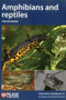 Amphibians and Reptiles by Trevor J. C. Beebee, 9781907807459
