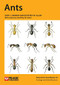 Ants - 9781907807602 by Gary J. Skinner, Geoffrey W. Allen, Geoffrey W. Allen, 9781907807602