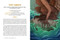 The Odyssey: An Illustrated Guide (A Character-by-Character Guide to the Story of Odysseus) by Doug Metzger, Charli Vince, 9781507226452