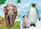 Super Silly Stickers: Go Wild! by Editors of Silver Dolphin Books, 9781667212937