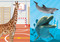 Super Silly Stickers: Go Wild! by Editors of Silver Dolphin Books, 9781667212937