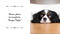 I Bark, Therefore I Am (Funny Dog Thoughts, Humor, and Photography for Dog Lovers) by Charlotte Jean, 9781685553135