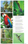 Suriname by Philip Briggs, 9781804693506
