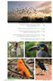 Suriname by Philip Briggs, 9781804693506