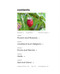The Forager's Kitchen Handbook (More than 100 recipes for gathered ingredients) by Fiona Bird, 9781800656390