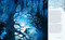 The Magic of the Night Sky (Discover the wonders of the nocturnal world to awaken your creativity and inner explorer) by Amy T Won, 9781800656482