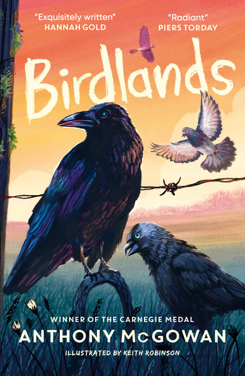 Birdlands (Shortlisted for the Children's Wainwright Prize 2026) by Anthony McGowan, 9781836431800