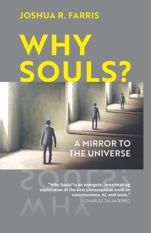 Why Souls? (A Mirror to the Universe) by Joshua R.  Farris, 9781903816417