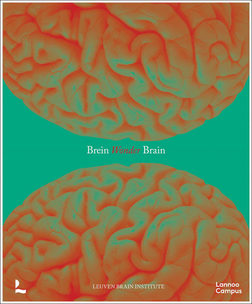 Wonder Brain by Mathieu Vandenbulcke, Ann Jeugd, 9789020958508