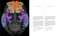 Wonder Brain by Mathieu Vandenbulcke, Ann Jeugd, 9789020958508
