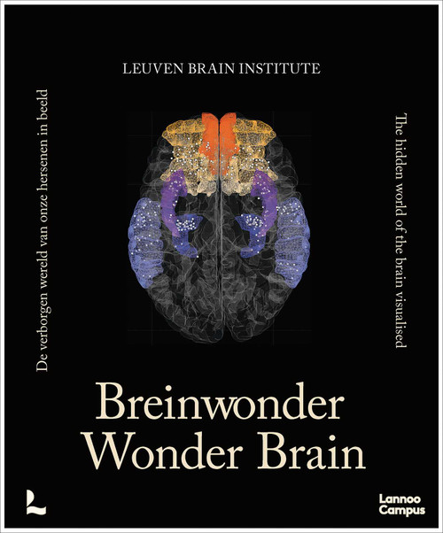 Wonder Brain by Mathieu Vandenbulcke, Ann Jeugd, 9789020958508