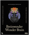 Wonder Brain by Mathieu Vandenbulcke, Ann Jeugd, 9789020958508